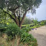 Argonaute Apartamento Saint-Tropez