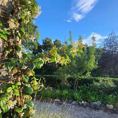 Argonaute Appartamento Saint-Tropez